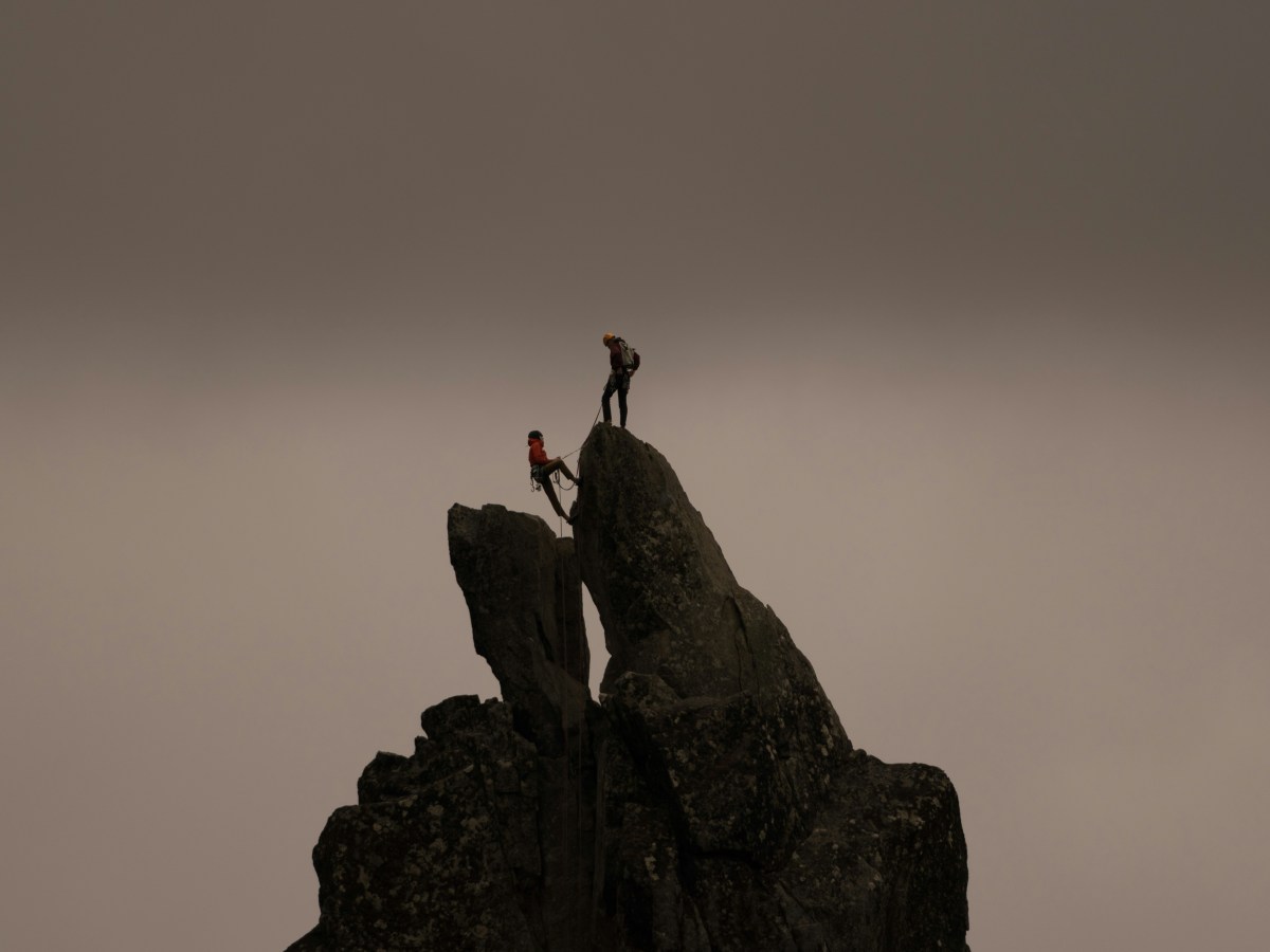 Social Tipping Points and Plant-forward&nbsp;Eating