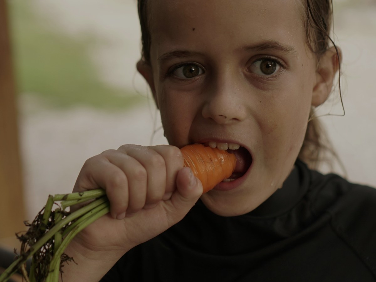 PHAIR paper alert: “Early attempts to stop eating&nbsp;meat”